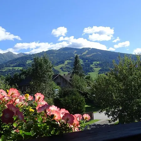 Apartment Schoenauer *