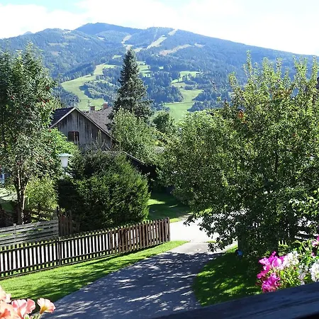 Schoenauer