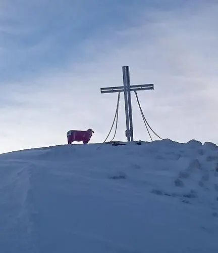 Schoenauer هاوس إم إنيستال